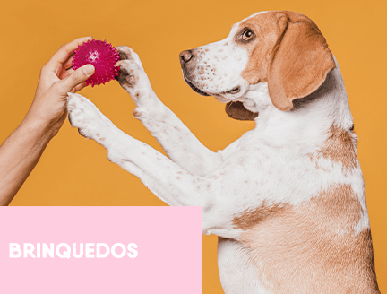 brinquedos