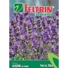 86492 - SEMENTE ALFAZEMA OU LAVANDA C/20