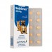 ANTIBACTERIANO SELVITREX 50MG P*0