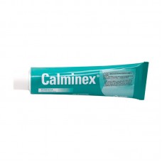 95310 - ANTI-INFLAMATORIO CALMINEX 100G P*0