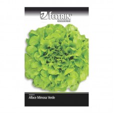 99910 - SEMENTE ALFACE GIOVANA