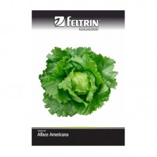 99909 - SEMENTE ALFACE RAFAELA-AMERICANA