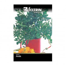 99901 - SEMENTE ARRUDA ARRUDA C/20