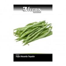 99912 - SEMENTES FEIJAO TEMPESTA