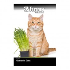 86501 - SEMENTE GRAMA DOS GATOS C/20
