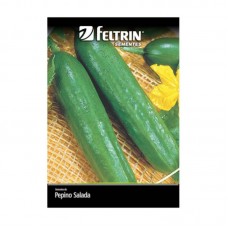 54406 - SEMENTE PEPINO AODAI C/25