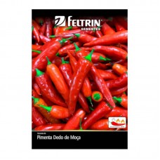 99913 - SEMENTES PIMENTA DEDO DE MOCA