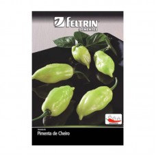 99914 - SEMENTES PIMENTA SASHA C/12