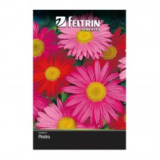 99908 - SEMENTE PIRETRO GIGANTE SORTIDO