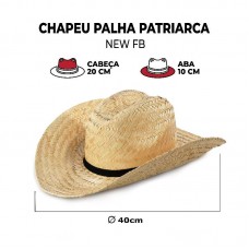 98385 - CHAPEU DE PALHA PATRIARCA E LEVE 