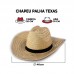 CHAPEU DE PALHA TEXANO FB E LEVE