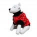 SUETER SOFT N10 CLUB PET P*2