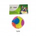 Brinquedo vinil bola arco iris com luz - PetMart - 7,5cm