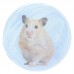 Bola acrilica para roedores transparente G - Savana - 14,5 cm