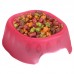 Comedouro Plastico Happy Cat Best Colors Rosa - Petmaxx - MEDIDAS: A4XL8,5XC12CM