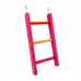 Brinquedo Madeira Escada Color 3 Degraus P - Divert Pet - Medidas: 17,5X33cm