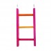Brinquedo Madeira Escada Color 3 Degraus P - Divert Pet - Medidas: 17,5X33cm
