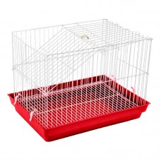 97519 - GAI P/ COELHO BR/VM PET P*0
