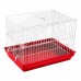GAI P/ COELHO BR/VM PET P*0