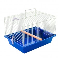 97521 - GAI TRANP/ P/ CALOPSITA AZ PET P*0