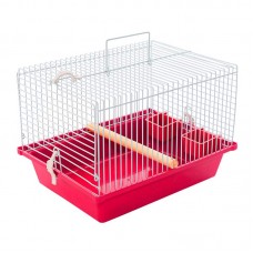 97522 - GAI TRANP/ P/ CALOPSITA VM PET P*0