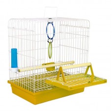 97642 - GAI ARAME CALOPSITA JUNIOR AM P*0